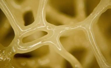 3D打印材料模拟生物组织