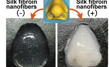Silk improves bioink for artificial organs