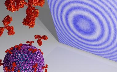 Holographic imaging to detect viruses