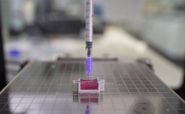 用活细胞3D打印骨骼的新型墨水