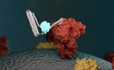 生物传感器快速识别冠状病毒蛋白质、抗体