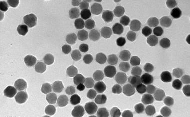细菌磁性纳米颗粒：生物医学应用工具？