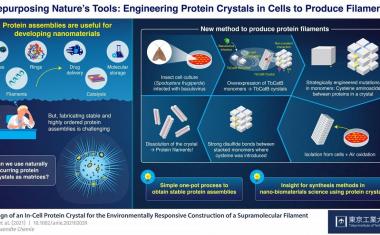 新利18官方3D印刷细胞蛋白质晶体