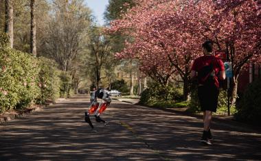 双足机器人学习奔跑
