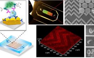 Lab-on-a-chip detects cancer less invasively