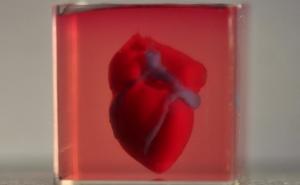 第一个用病人自己的细胞3D打印的心脏