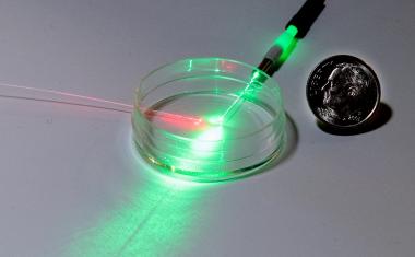 光子pH传感器用光跟踪组织