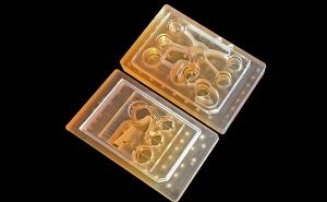 “芯片上的身体”可以改善药物评估