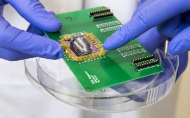 科学家们用芯片模拟心脏病发作