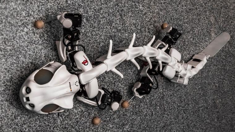 由EPFL生物机器人实验室开发的Pleurobot机器人蝾螈……