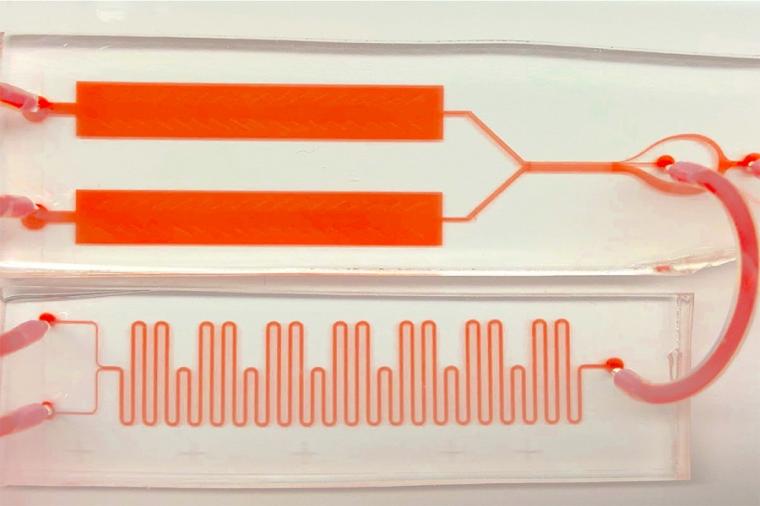 RT-ELISA原型由三个模块组成:第一个模块(下)，血液…