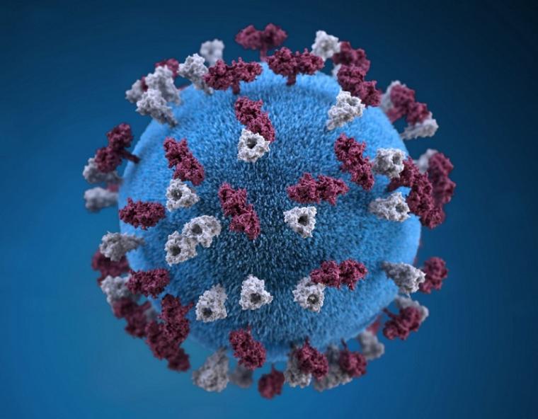 人工智能在新型冠状病毒感染症(COVID-19病毒)治疗领域取得进展