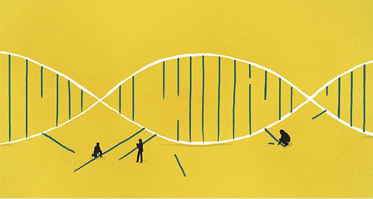 新的CRISPR方法称为CRISPROFF，充当基因的开关......