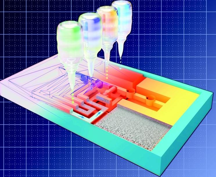 使用3D打印机，研究人员制作了一个3D版本的横向流动……