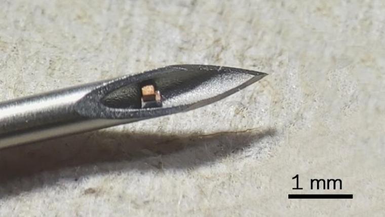 芯片显示在皮下注射针的尖端。