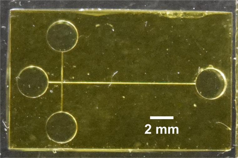 一种3d打印的微芯片设备分离并检测早产的生物标记。