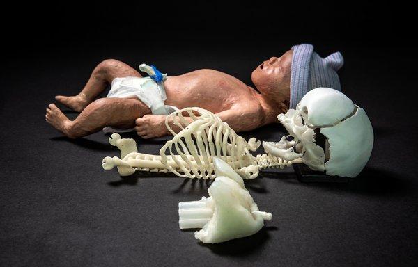 3D打印婴儿模型。