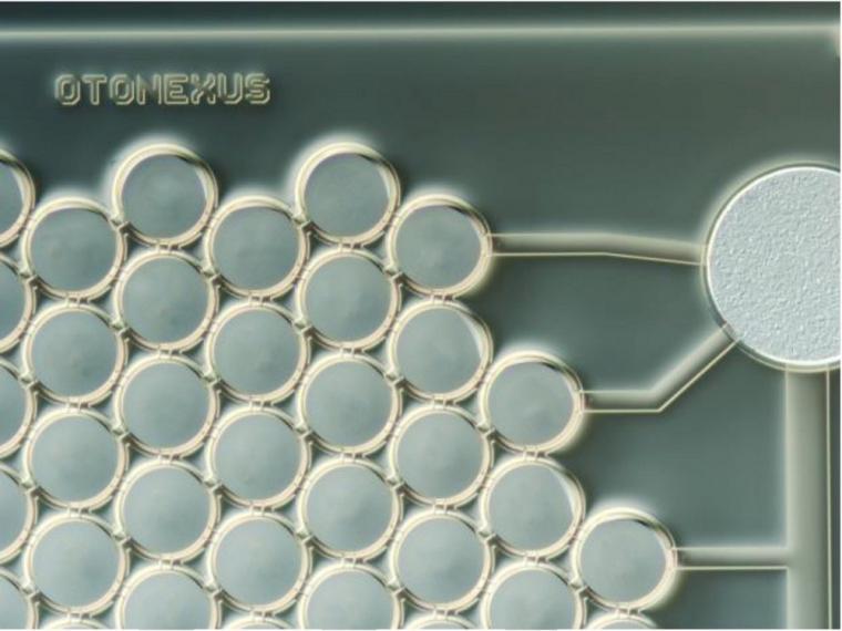在革命性耳镜的核心是一个独特的CMUT芯片来自…