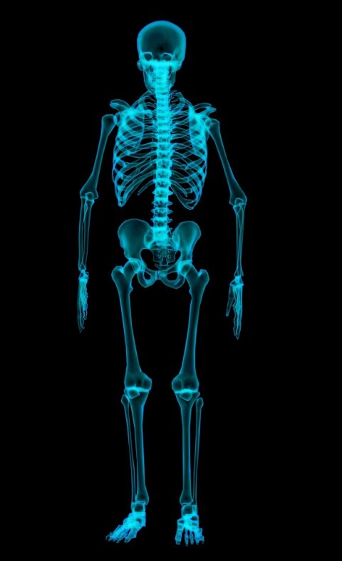 3D人体骨骼渲染