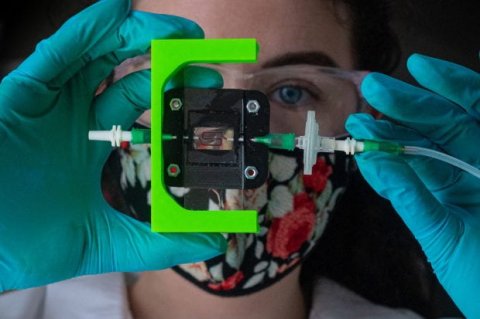 一名妇女演示了一个通过3d打印水凝胶测试血液流动的实验室装置